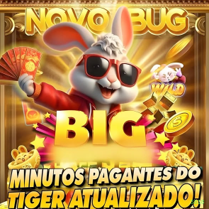 3838 Brasil